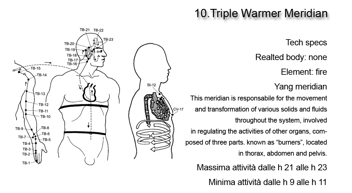 Triple warmer meridian