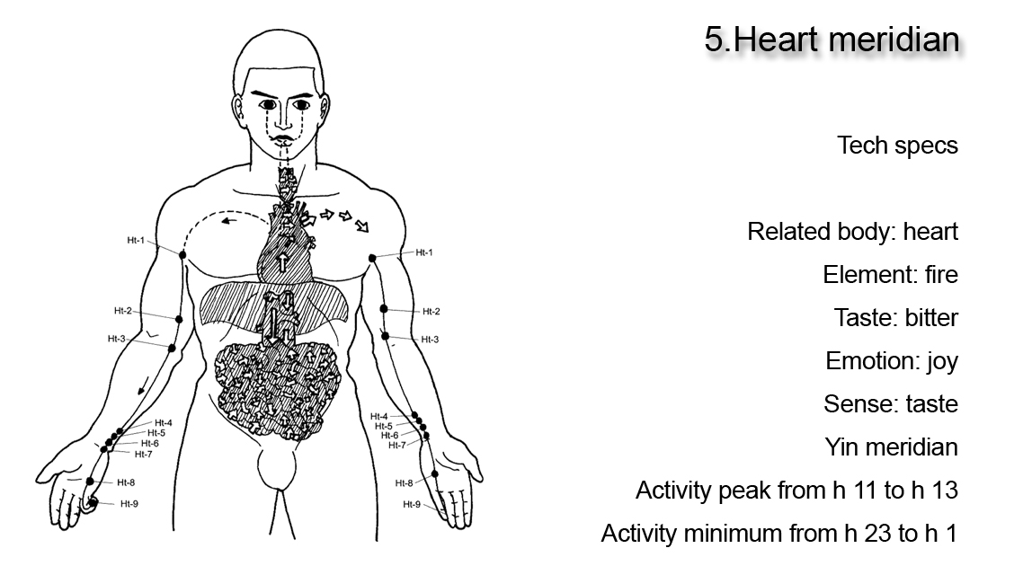 Heart meridian
